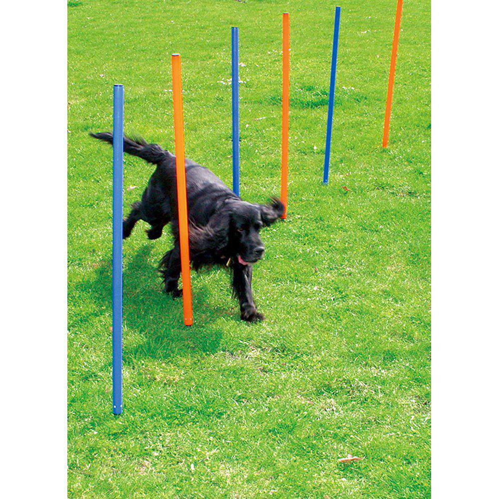 Agility Slalom 12st pinnar