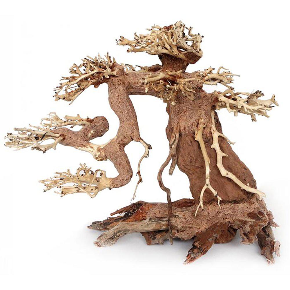 Bonsai Wood S 15x10x8cm