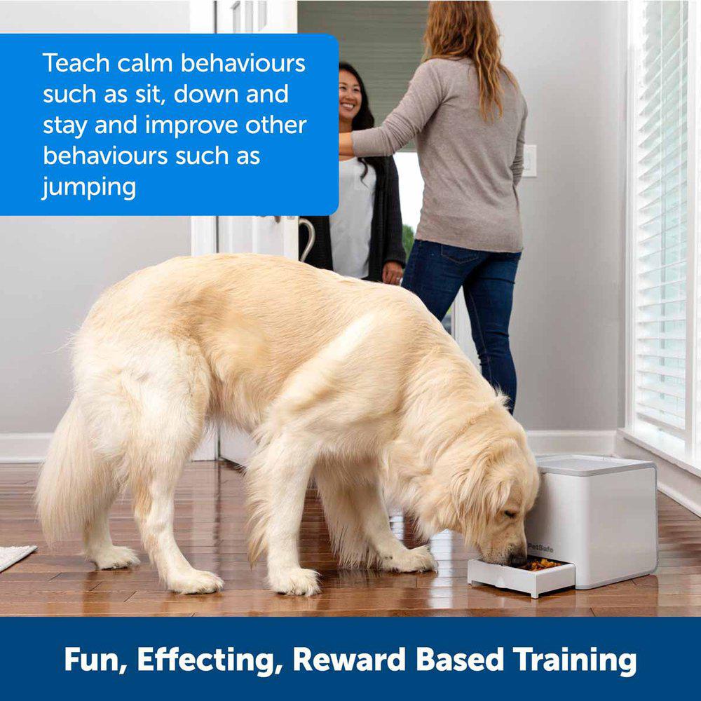 Teach & treat Remote Reward Trainer