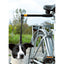 Hands Free Doggy Bike Exerciser Leash