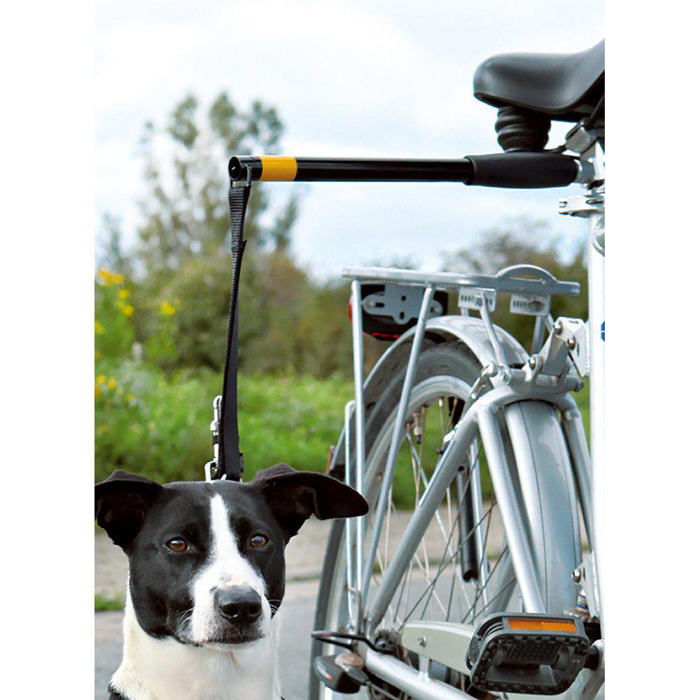 Hands Free Doggy Bike Exerciser Leash