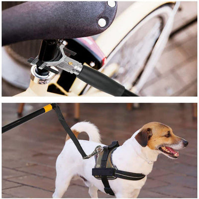 Hands Free Doggy Bike Exerciser Leash